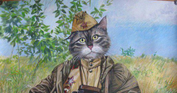 Кот Партизан