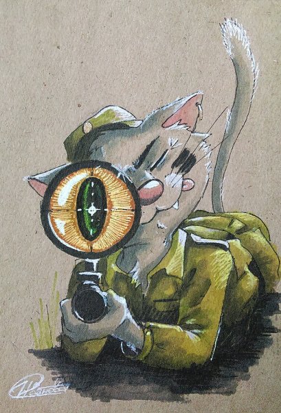 Военные коты