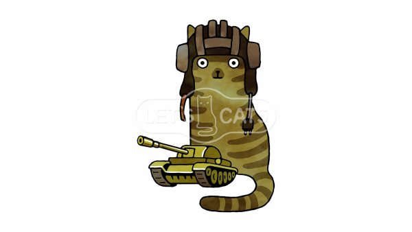 Кот военный стикер