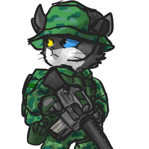 Кот спецназовец