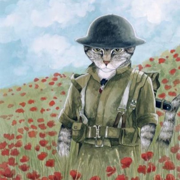 Кот солдат