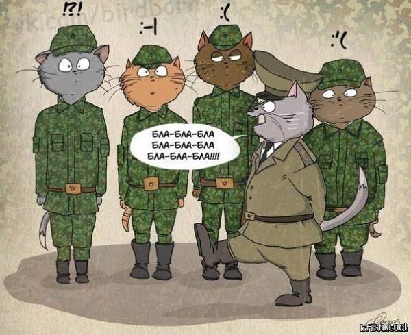 Коты солдаты