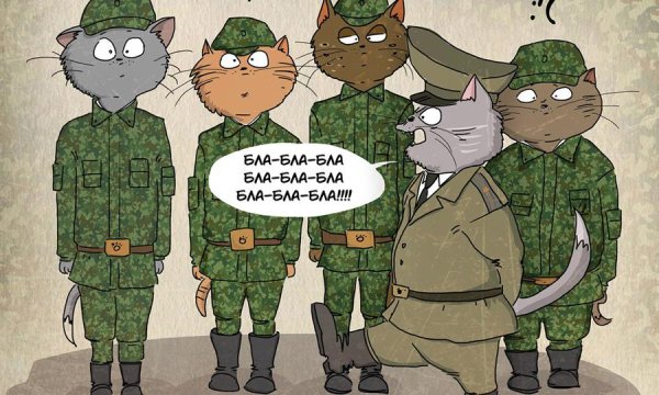 23 Февраля коты