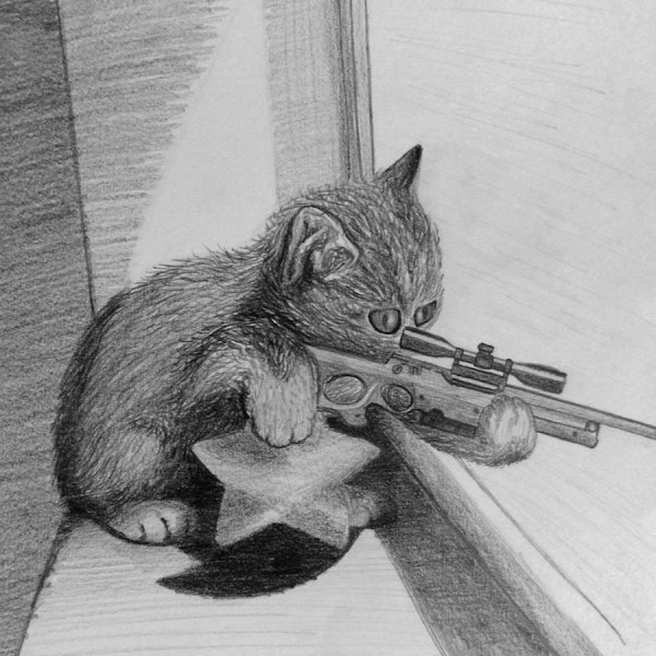 Кот с винтовкой