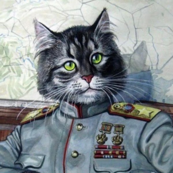Кот в генеральских погонах