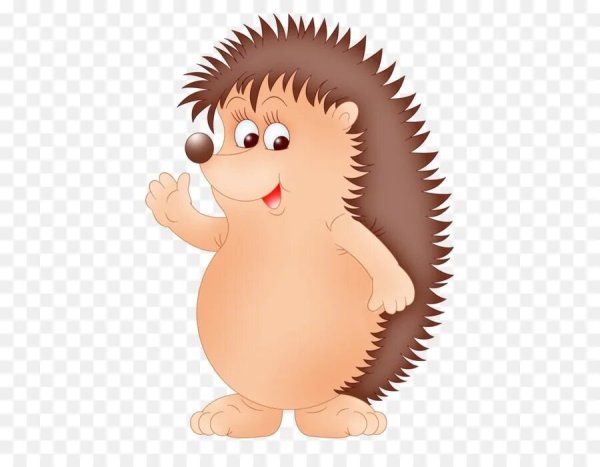 Ежик на прозрачном фоне
