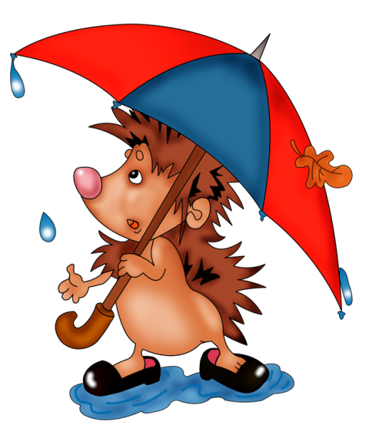 Ежик под зонтом