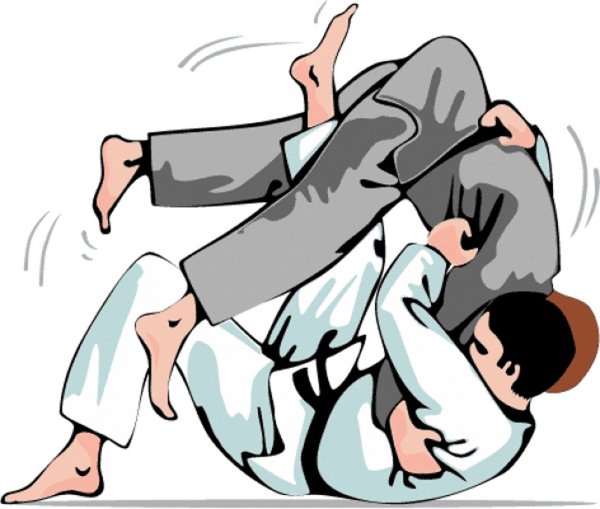 Дзюдо мультяшные