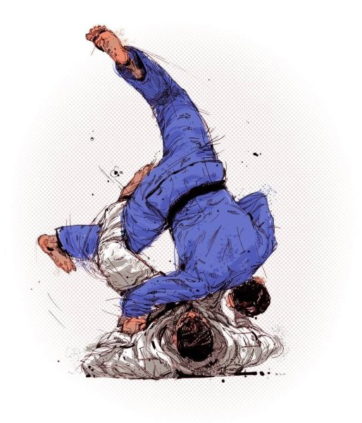 Дзюдо джиу-джитсу