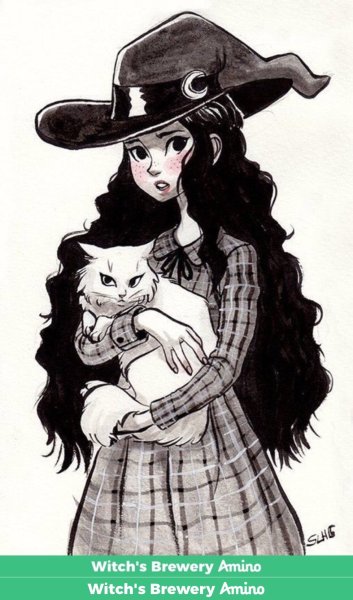 Ведьма скетч