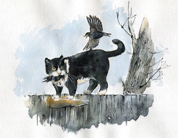 Белов скворцы