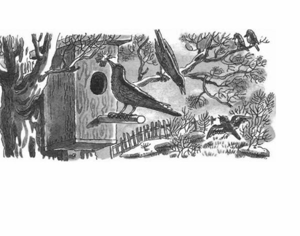 Скворцы Александр Куприн книга