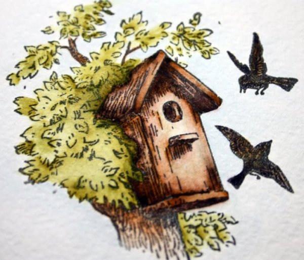 Белов скворцы иллюстрации