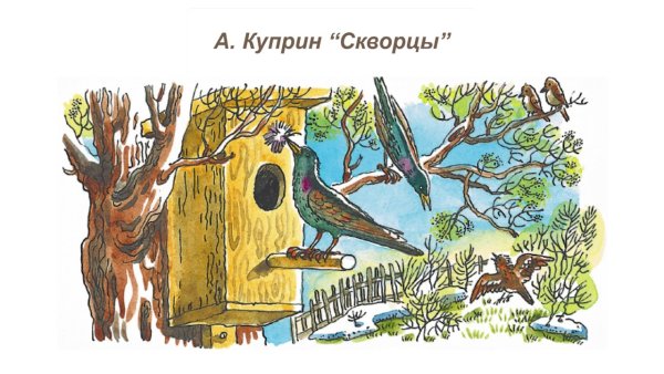 Скворцы прилетели рисунок