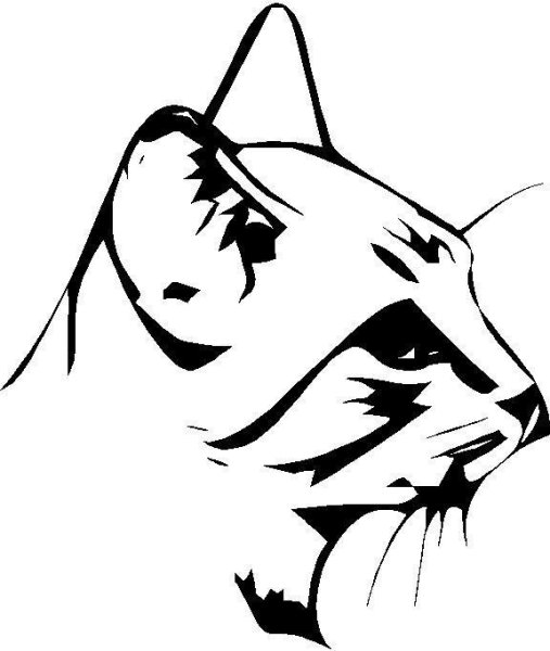 Кот эскиз контур