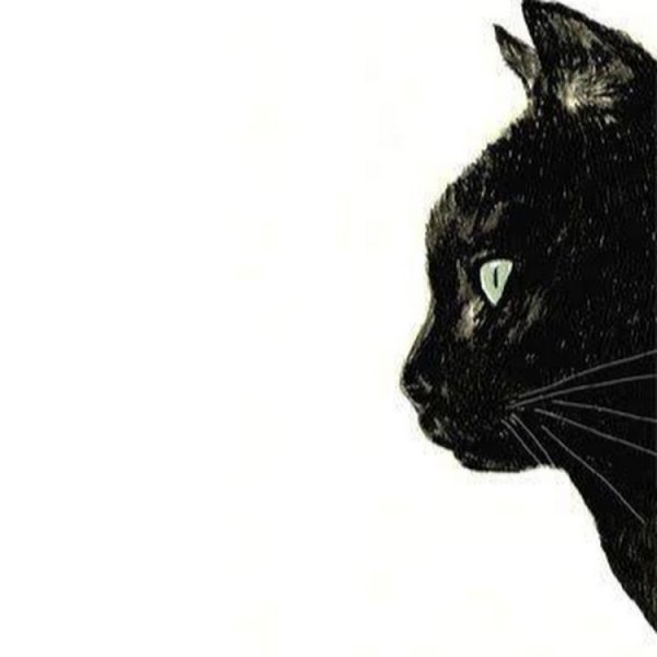 Чёрный кот DJ