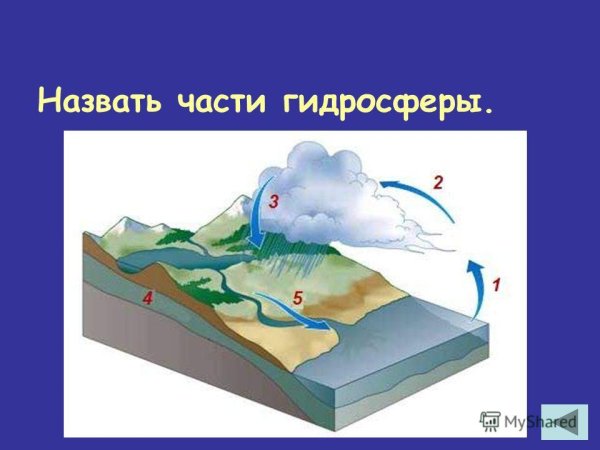 Состав гидросферы