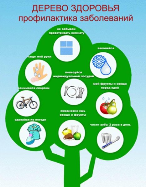 Дерево здоровья профилактика заболеваний