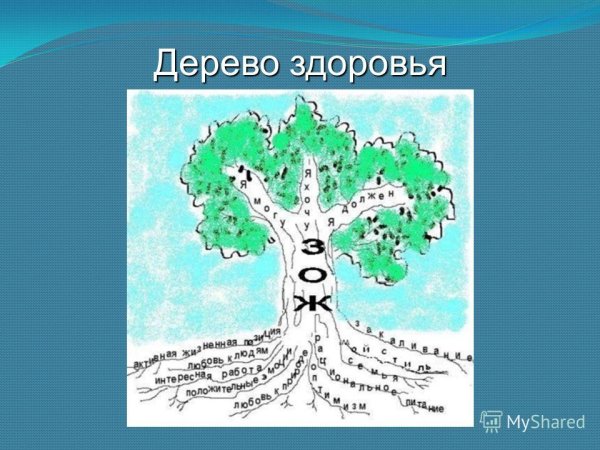 Дерево здоровья в детском саду