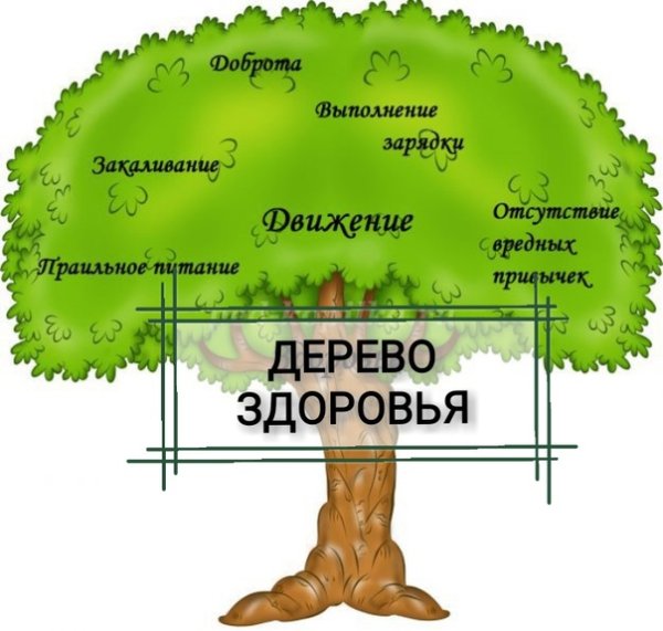 Дерево здоровья
