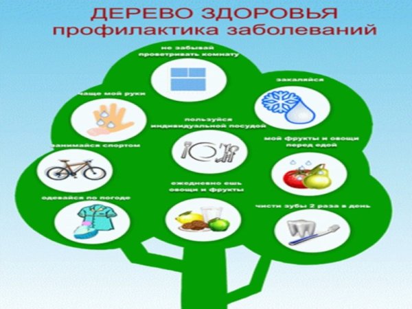 Дерево здоровья для дошкольников