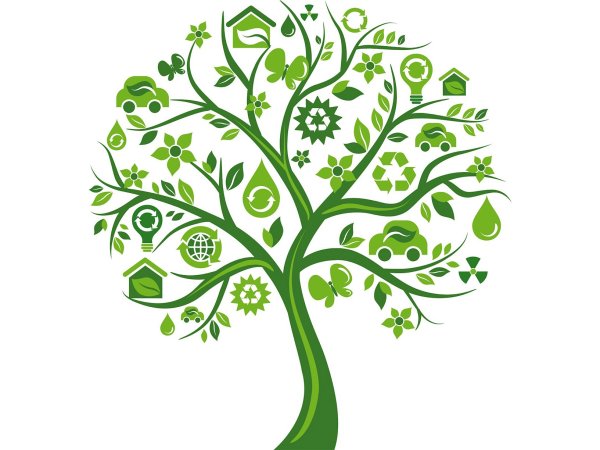 Дерево жизни зеленое
