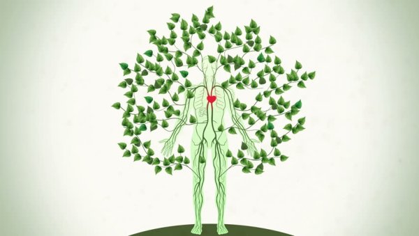 Дерево здоровья подготовительная группа