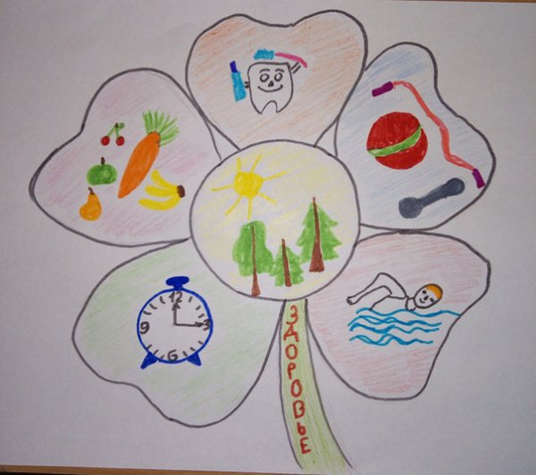 Дерево здорового образа жизни