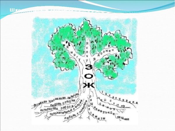 Дерево здоровья в детском