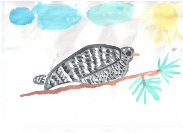 Сказки народов севера Кукушка Ненецкая сказка