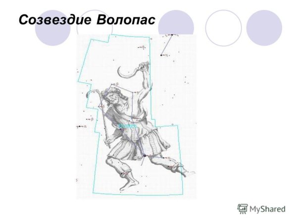 Волопас и гончие псы