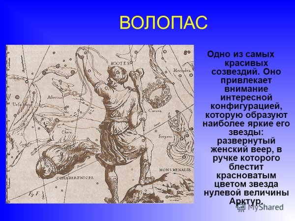 Волопас и гончие псы