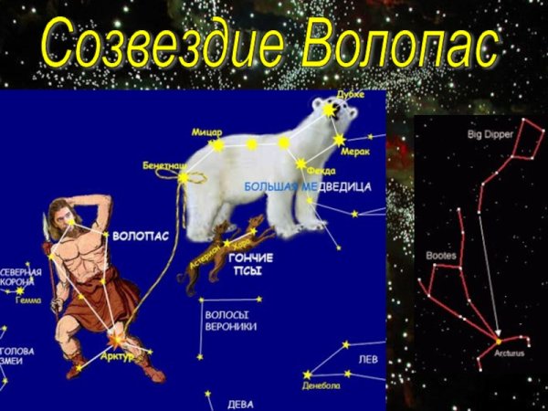 Созвездия Волопас и гончие псы
