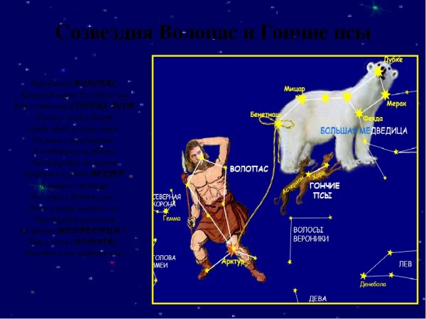 Волопас гончие псы большая Медведица