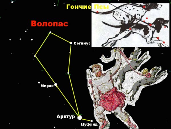 Астеризм созвездия Волопас