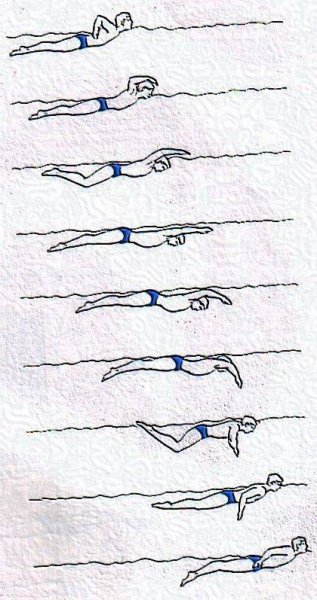 Пловец в движении