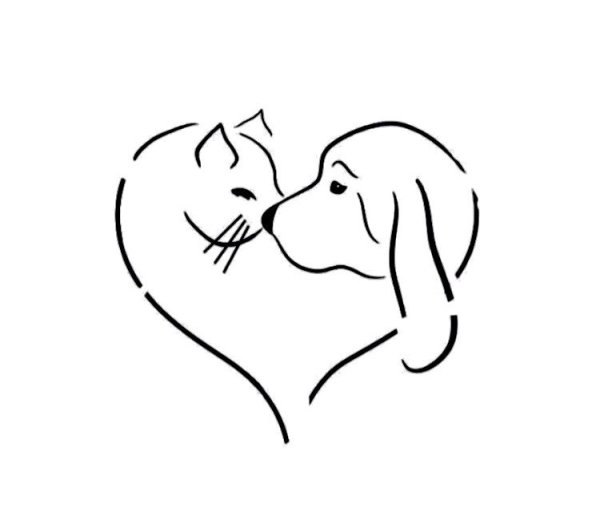 Котенок Гав и щенок