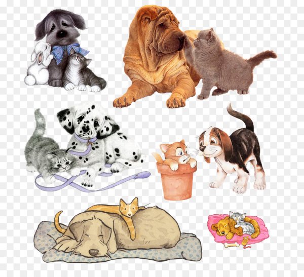 Забавные рисунки кошек и собак