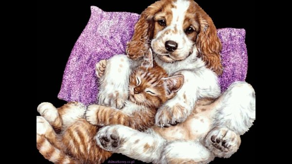 Как кошка с собакой фразеологизм