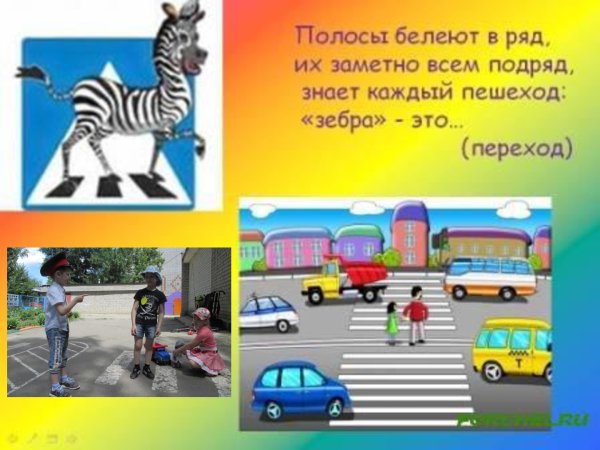 Эмблема Зебра