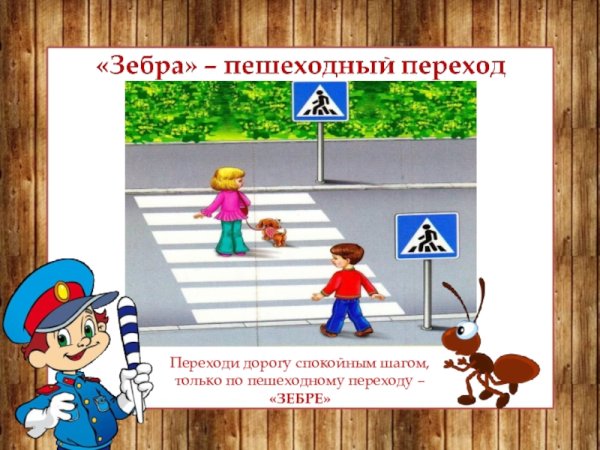 Зебра рисунок ПДД