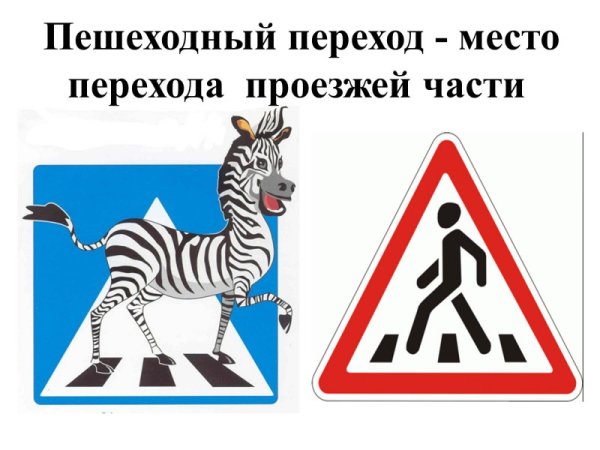Правила дорожного движения Зебра для детей