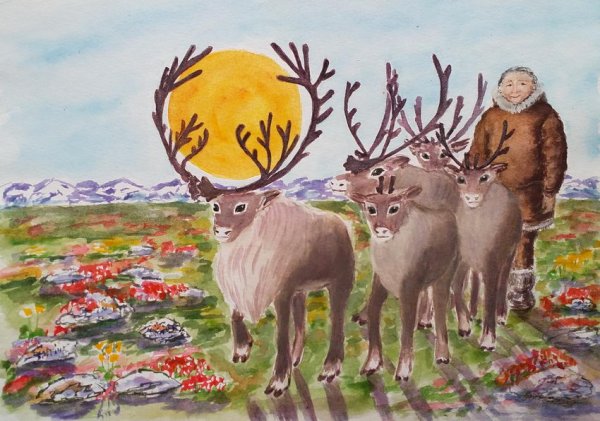Олень карандашом