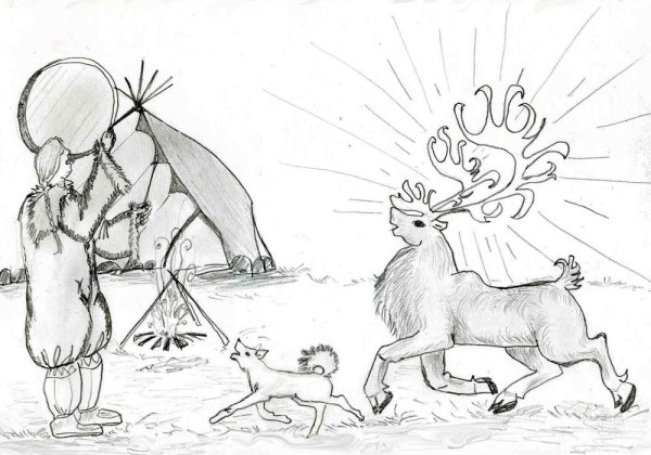 Раскраска Северный олень в тундре