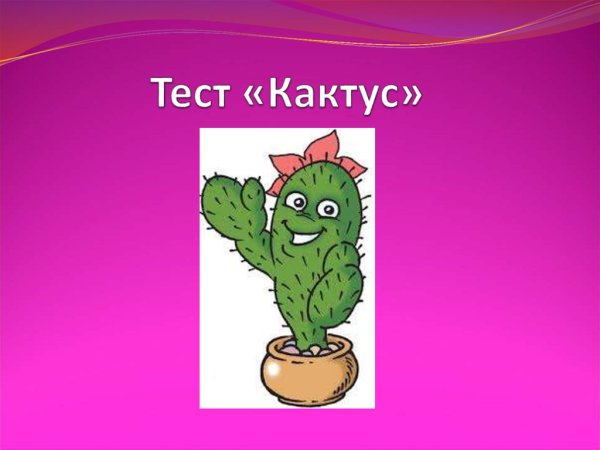 М А Панфилова Кактус