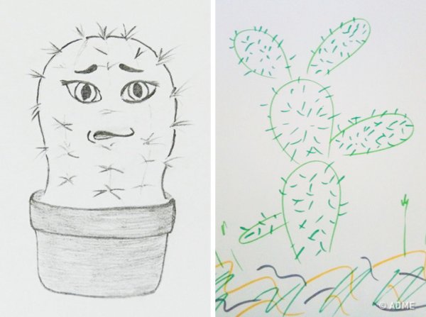 Тест Кактус м.а Панфилова