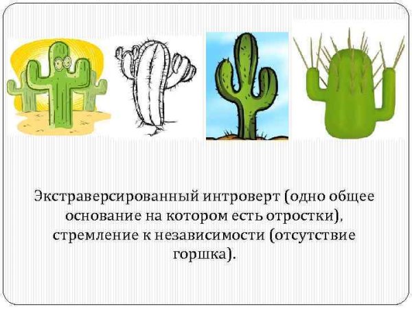 Графическая методика «Кактус» (модификация м.а. Панфилова);