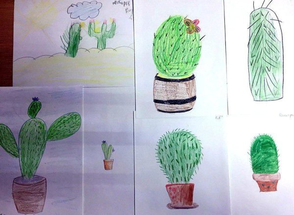 М А Панфилова Кактус