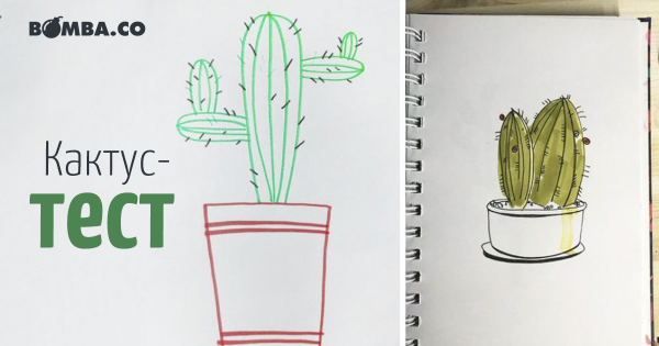 Психолог Нарисуй Кактус