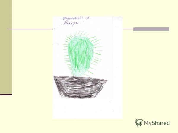 Кактус для психолога